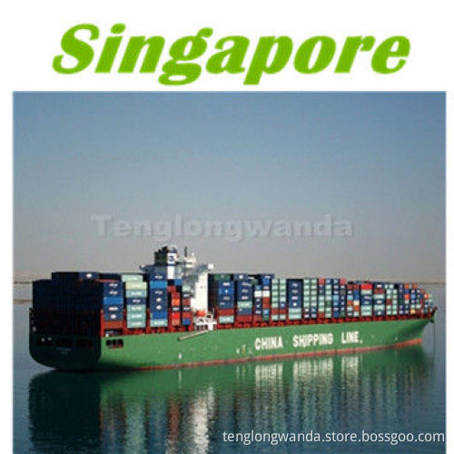 Sea freight forwarding to Singapore from Shanghai, Hangzhou, Yiwu, Wenzhou